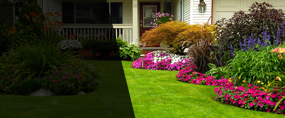 Dudley Landscapers