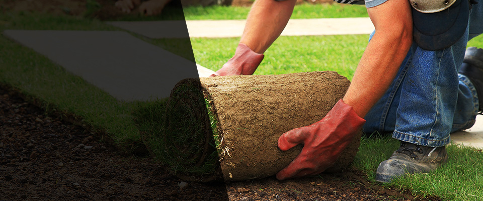 Dudley Landscapers